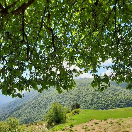 Bujtina E Tomorrit Ujanik Exterior foto