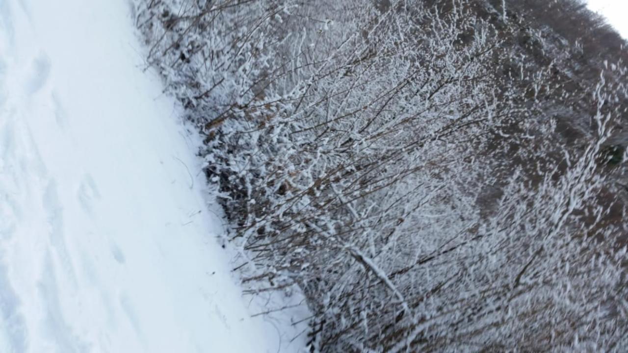 Bujtina E Tomorrit Ujanik Exterior foto