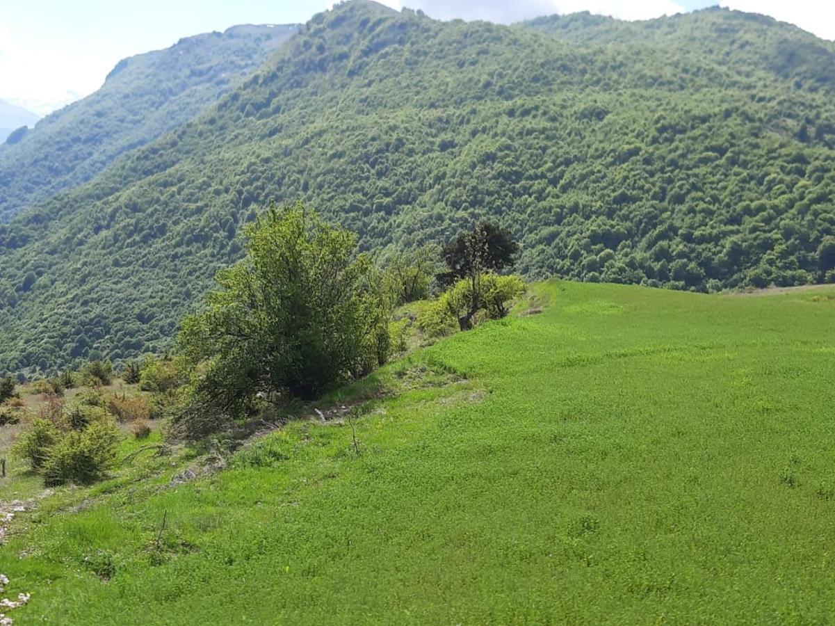 Bujtina E Tomorrit Ujanik Exterior foto