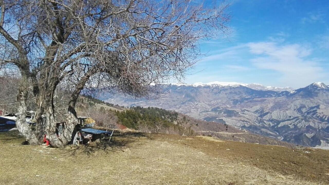 Bujtina E Tomorrit Ujanik Exterior foto