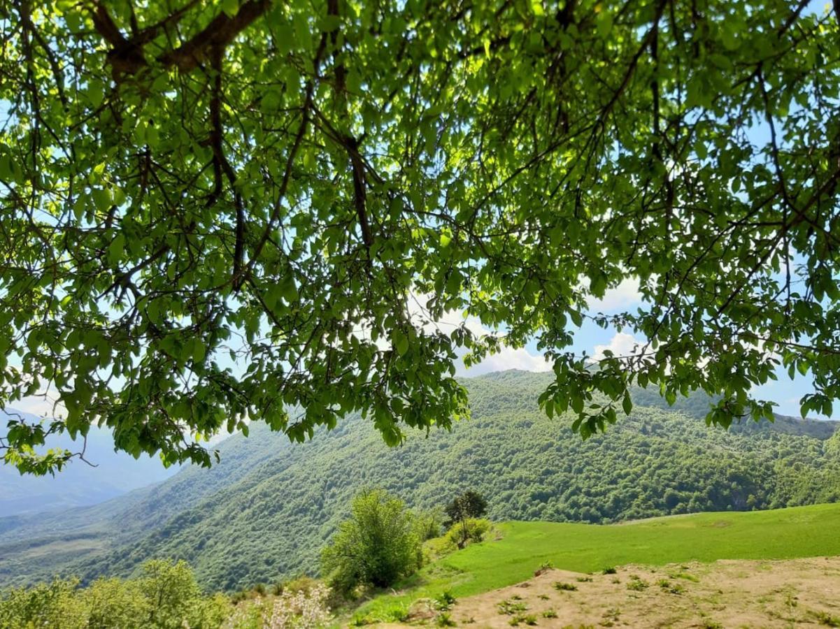Bujtina E Tomorrit Ujanik Exterior foto