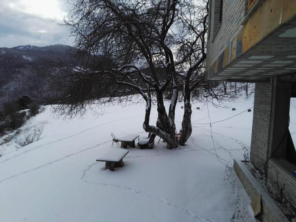 Bujtina E Tomorrit Ujanik Exterior foto